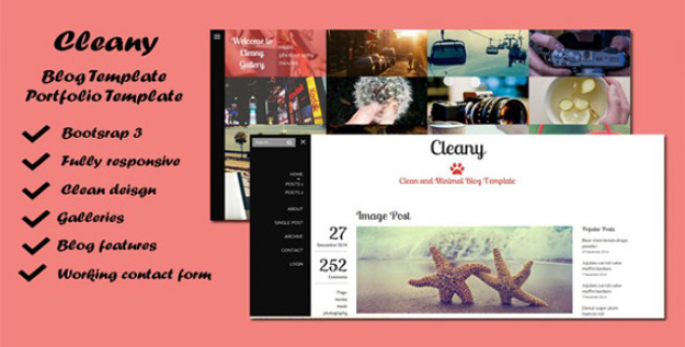 Cleany - Blog and Portfolio Template