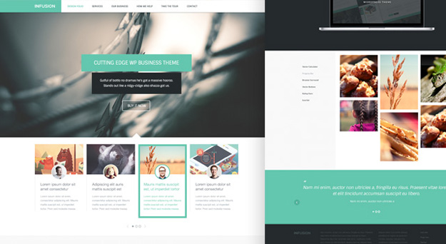 infusion-free-website-templates