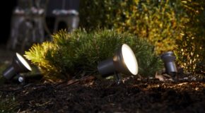 types of outdoor led light